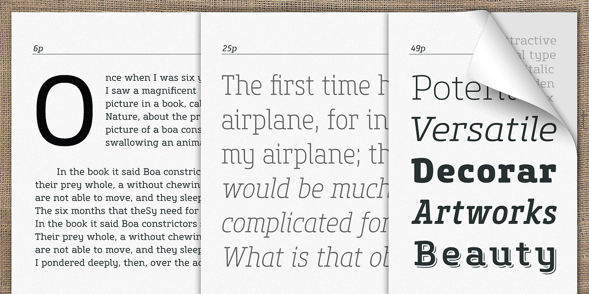 Core Slab M, a Slab Serif Font by S-Core (Photo 4 of 5)