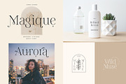 Whole Shop Bundle 99% OFF, a Serif Font by supfonts (Thumbnail 4 of 20)