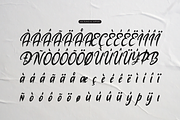 The Mollina | Solid Hand Drawn Brush, a Handwritten Font by gracetype_studio (Thumbnail 12 of 12)
