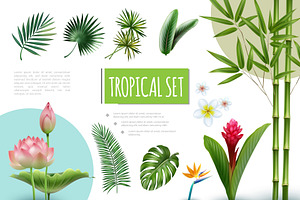 Realistic Tropical Plants Collection