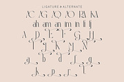 Gandis, a Serif Font by Kenrichi (Thumbnail 9 of 9)