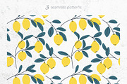Lemon Cliparts, Frames & Patterns, a Decorative Illustration by Panna Limon Store (Thumbnail 14 of 18)