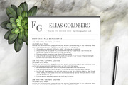 Professional Resume Template, a Resume Template by Resume Template Shoppe (Thumbnail 6 of 10)