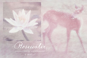 Rosewater Dreamy Pastel Backgrounds, a Background Graphic by alonahaidash (Thumbnail 1 of 16)