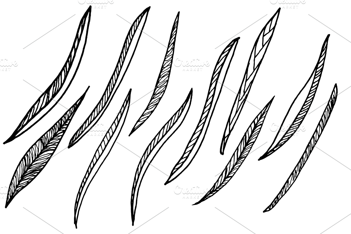 Decorative Sunflower Line Art Bundle, a Decorative Illustration by kristiangallagher (Photo 8 of 9)
