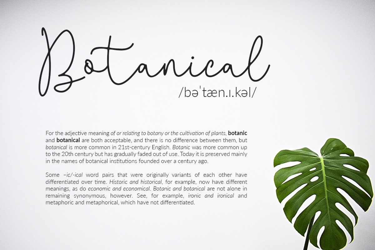 Questa Whitte Script Business Font preview 4