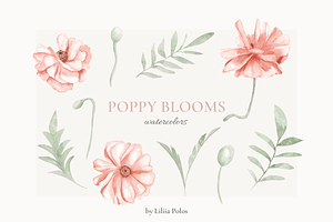 Poppy Blooms Watercolor & Line Art