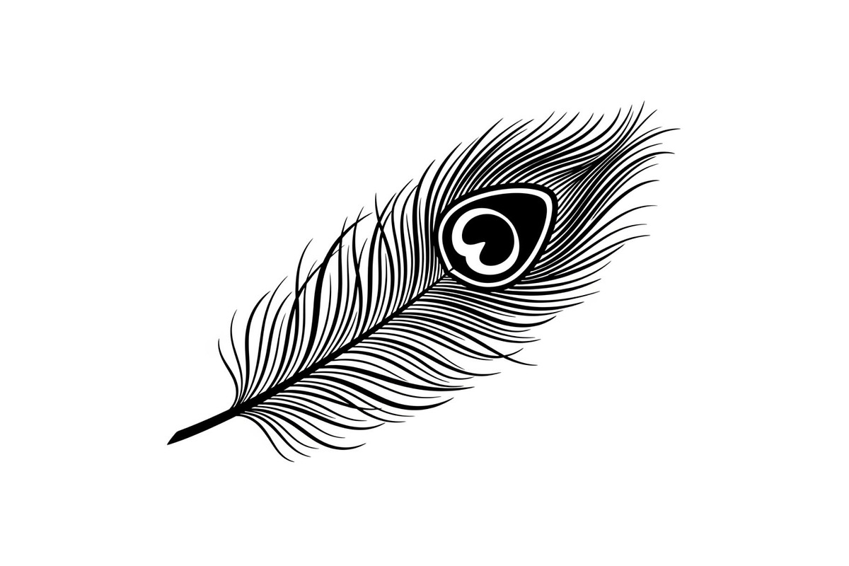 Peacock Feather Silhouette Bundle, an Illustration by jahid234 (Photo 13 of 31)