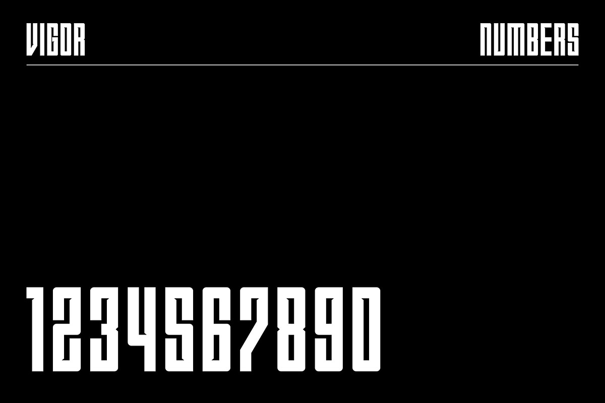 Vigor, a Sans Serif Font by Lemockup (Photo 3 of 11)