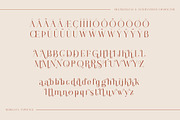 Morgana | Elegant Ligature Typeface, a Serif Font by Krismagraph (Thumbnail 12 of 12)
