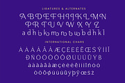 Argent Paradise Serif Oldstyle, a Serif Font by Letterena Studios (Thumbnail 14 of 15)