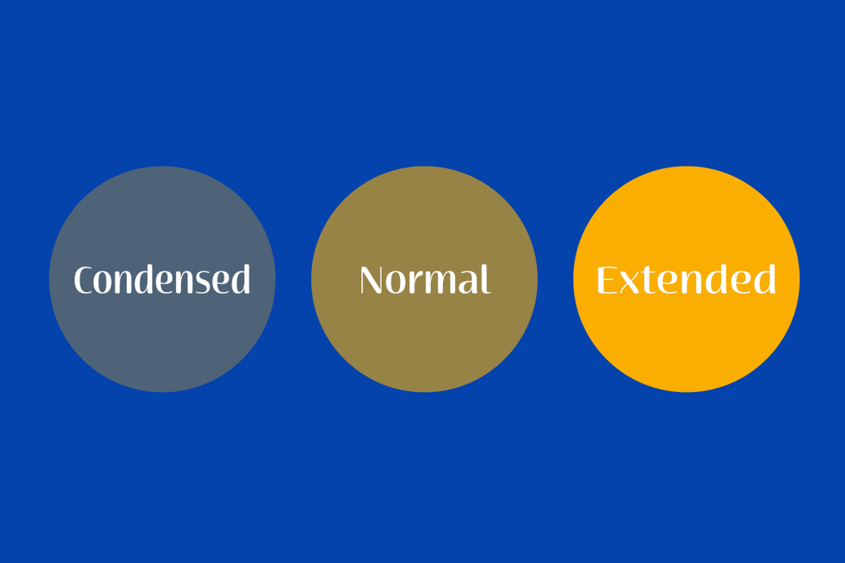 Terfens Contrast, a Sans Serif Font by insigne (Photo 2 of 5)