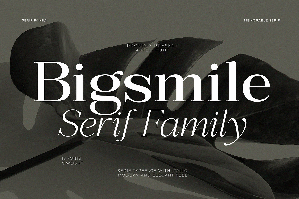 Bigsmile Serif Family, a Serif Font by Violet Natural (Photo 1 of 13)