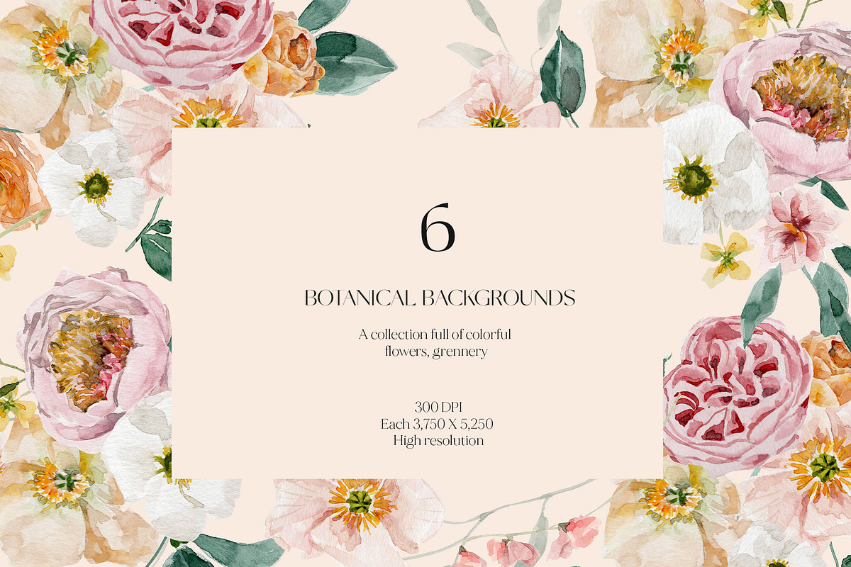 Spring summer flowers watercolor set, an Illustration by Grace Noboa Illustrations (Photo 5 of 15)