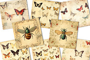 Vintage Bugs Junk Journal Paper, a Background Graphic by BusyDaydesign (Thumbnail 2 of 9)