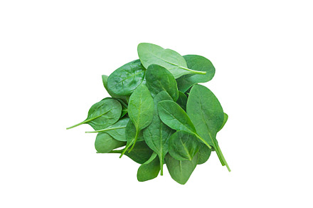 Spinach leaves isolate on white, a Food & Drink Photo by yanadjana
