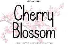 Cherry Blossom