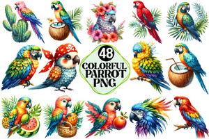 Colorful Parrot Clipart, an Illustration by Pixels.Craft
