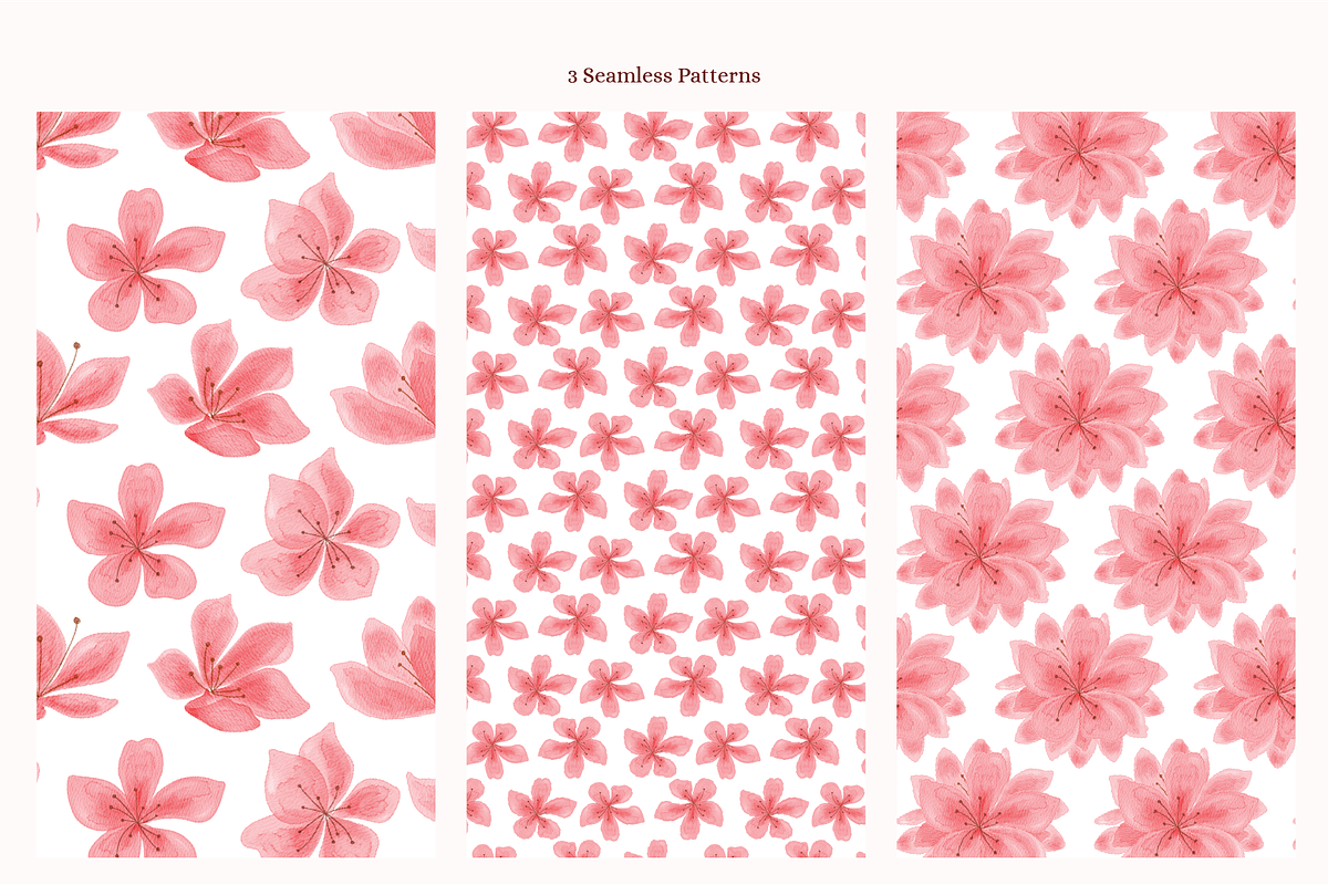 Cherry Blossoms Mini Collections, a Decorative Illustration by An Design (Photo 3 of 3)