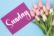 Butterfly Sweety | Script Font, a Handwritten Font by Scratchones (Thumbnail 4 of 8)