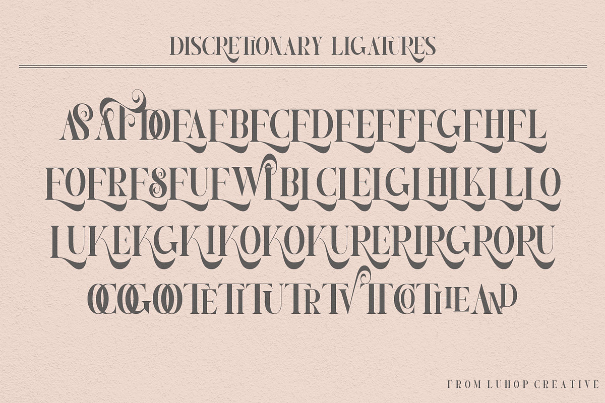 Nortika Serif Vintage Display, a Serif Font by LuhopCreative (Photo 8 of 13)
