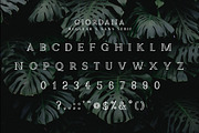 The Elegant Serif Font Bundle, a Serif Font by Zone 6 (Thumbnail 12 of 14)