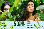 3300+ Photo Overlays Bundle+FREE Act, an Action Add-On by Jacpot007 (Thumbnail 18 of 54)