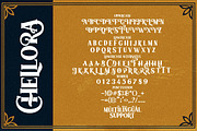 Chellora Typeface, a Serif Font by Picatype Studio (Thumbnail 9 of 10)