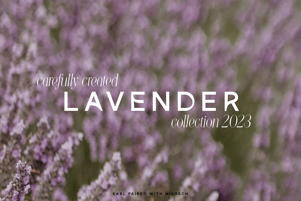 Karl – Cool Sans w Unique Alternates, a Sans Serif Font by Local Desk Designstudio (Photo 20 of 28)