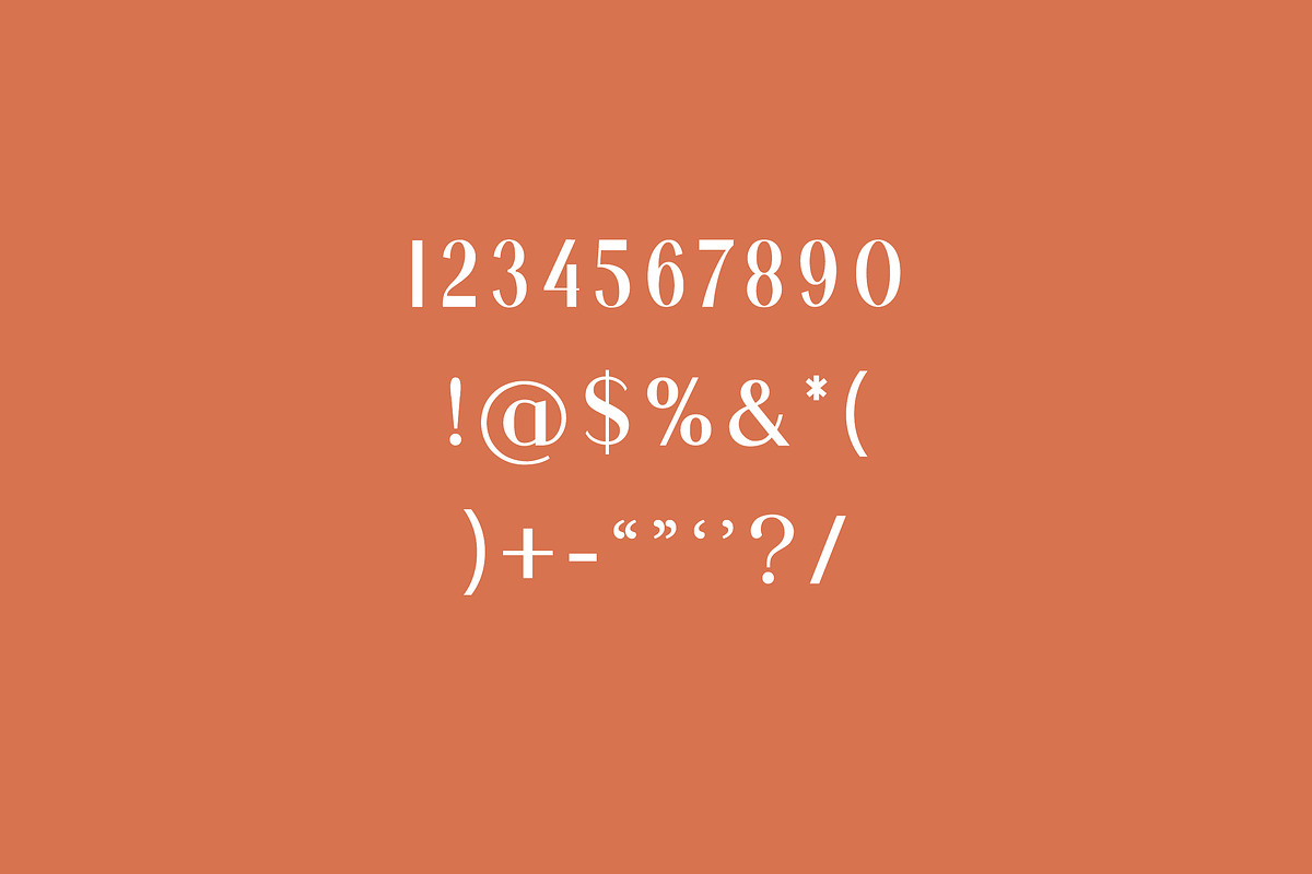 Brightwood Classic Serif Font, a Serif Font by UICreative (Photo 4 of 13)