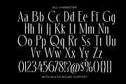 The Marlynes Classy Elegant Serif, a Serif Font by Letterhend Studio (Thumbnail 8 of 9)