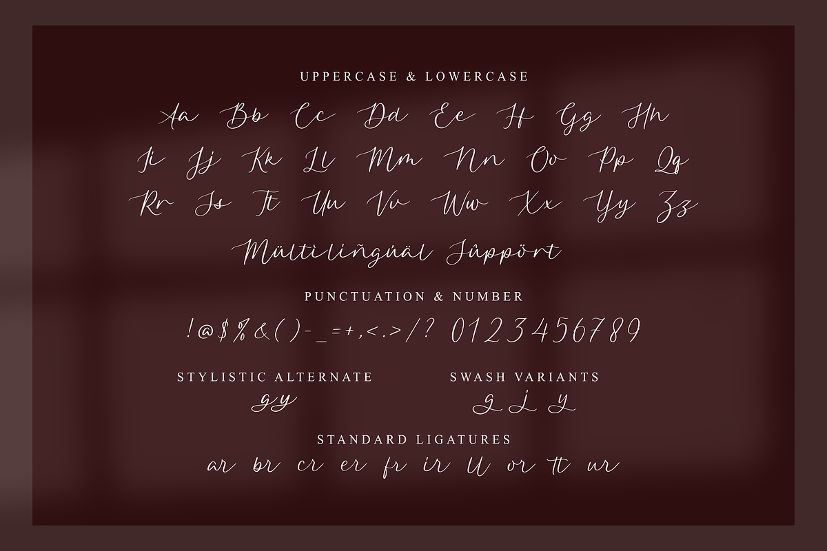 Qarllottey Modern Elegant Script F, a Script Font by Allouse Studio (Photo 10 of 11)