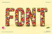 Tulip Font, a Serif Font by Handmadefont (Thumbnail 1 of 15)