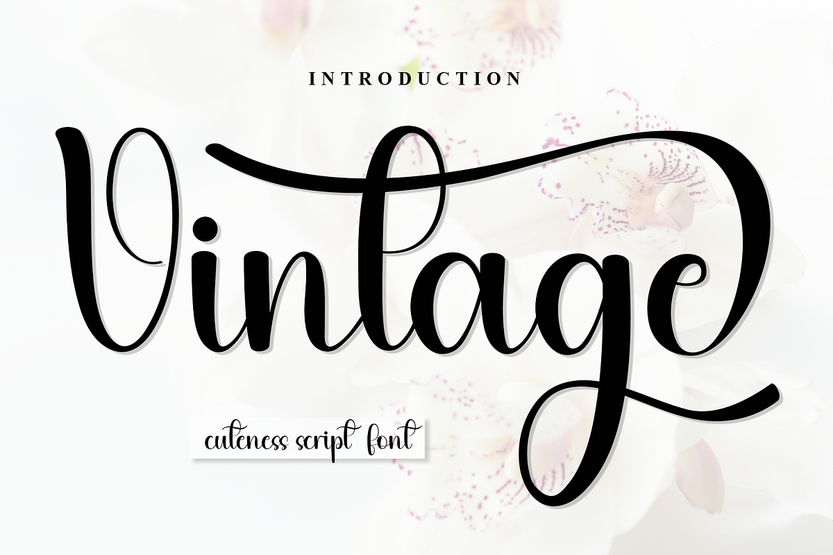Vintage, a Handwritten Font by InermediaSTUDIO (Photo 1 of 8)