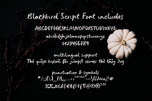 Blackbird Crayon Script SVG Font