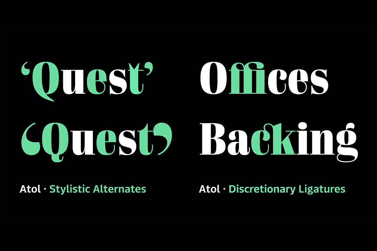 Atol, a Serif Font by Type & Roll (Photo 5 of 8)