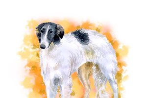 Borzoi Watercolor Dog Portrait PSD