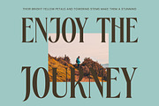 Rachon Bold Tall Display Serif, a Serif Font by timelesstype.co (Thumbnail 16 of 20)