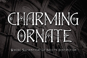 Charming Ornate, a Serif Font by Letterara (Thumbnail 1 of 16)