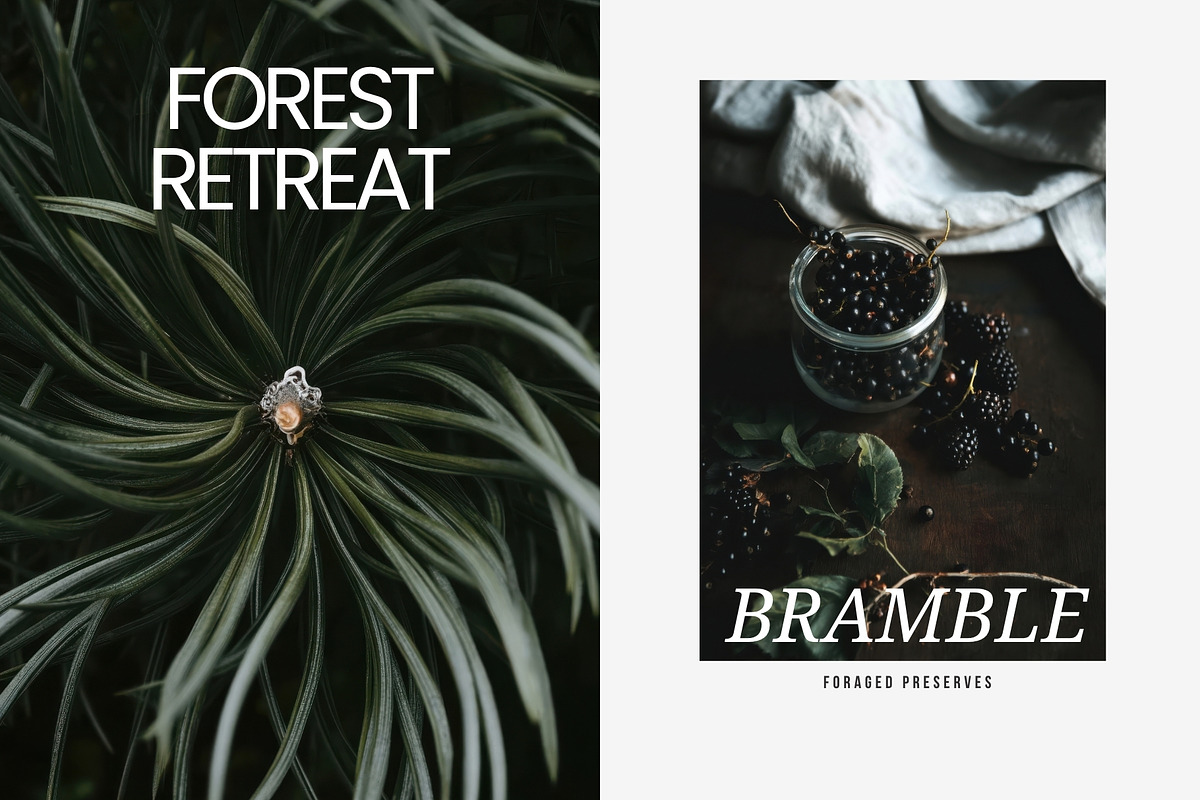 Forest Stock Photos | Moody Woodland, a Nature Photo by Tale.Haus (Photo 9 of 20)
