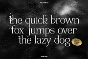 TAN - GARLAND, a Serif Font by TanType (Thumbnail 10 of 16)