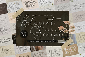 75 Elegant Script Font Bundle