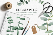 Eucalyptus collection, a Decorative Illustration by Colibri Watercolor (Thumbnail 1 of 5)