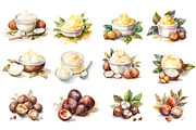 Watercolor Shea nuts plant, berry, an Object Graphic by KomtsyanTatyanaArt (Thumbnail 3 of 3)