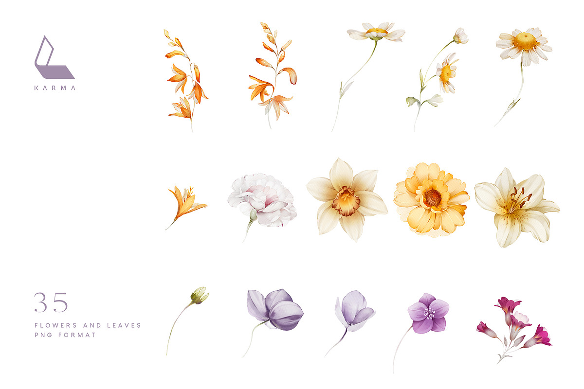 Gwinnett | Botanical set, an Illustration by Karma (Photo 19 of 22)