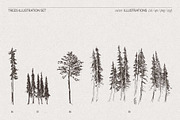 Hand-Drawn Trees Illustration Set, an Object Graphic by TheMountBirdStudio (Thumbnail 6 of 6)