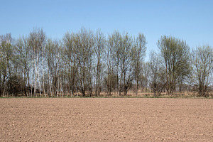 Plowing the land in spring., a Nature Photo by Schreibikus