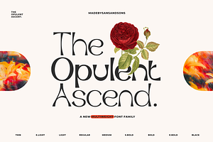 Opulent Ascend - 9 Font Family