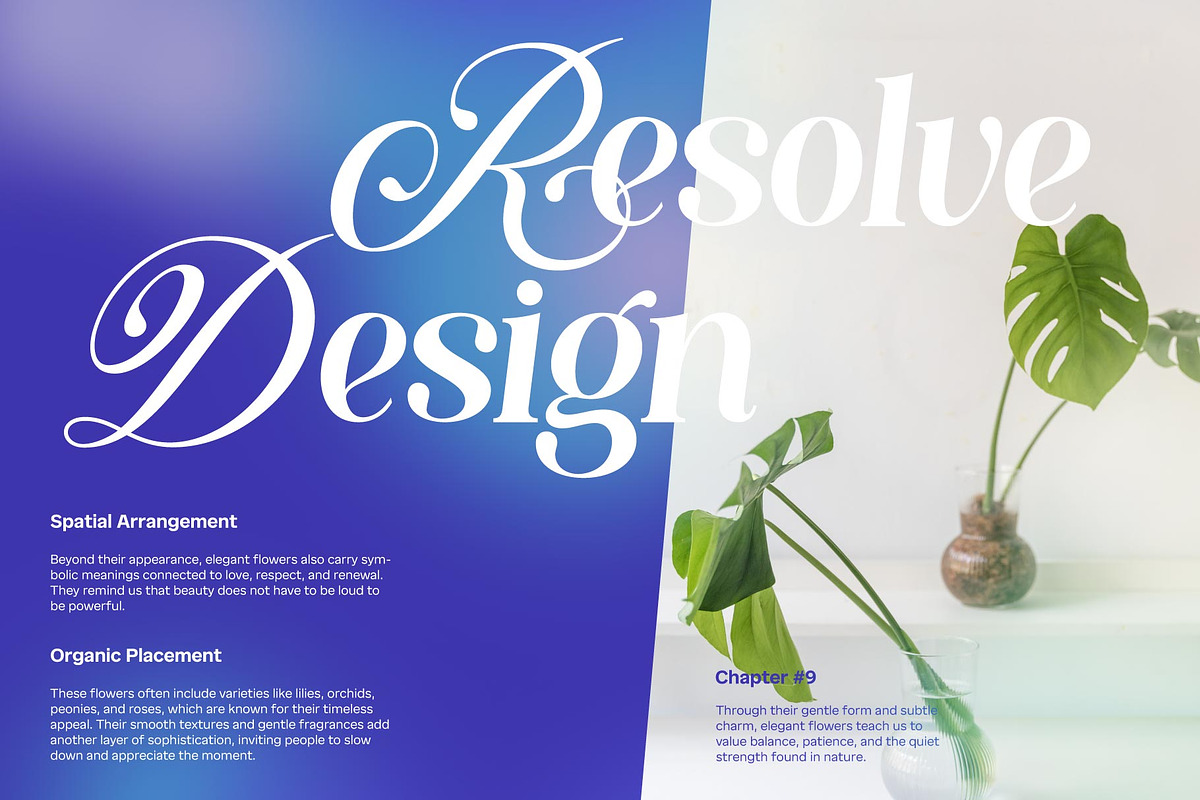 Milesdane; Italic Display Serif, a Serif Font by Eko Bimantara (Photo 4 of 9)