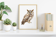 Watercolor Vintage Owl Clipart, an Illustration by Canvas Craft (Thumbnail 4 of 6)